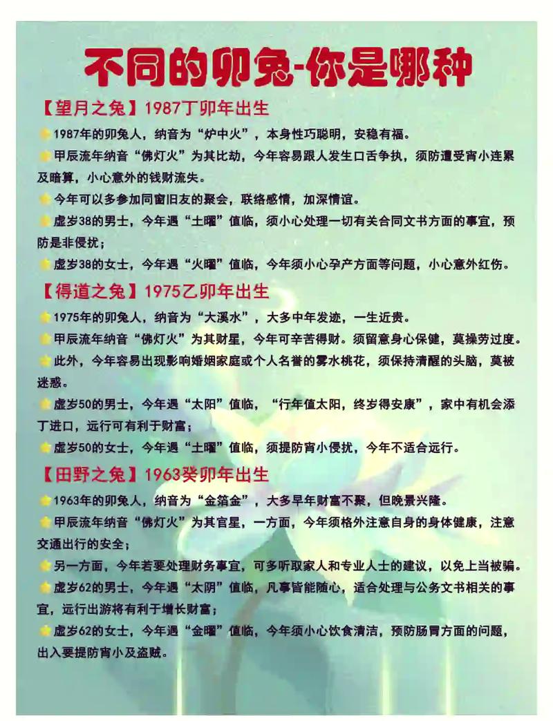 1987年属兔人的命格究竟有何独特之处？