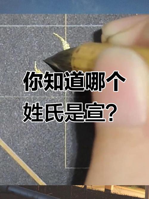 宣姓英俊少年，能否赐予一个既优美又大方的名字呢？
