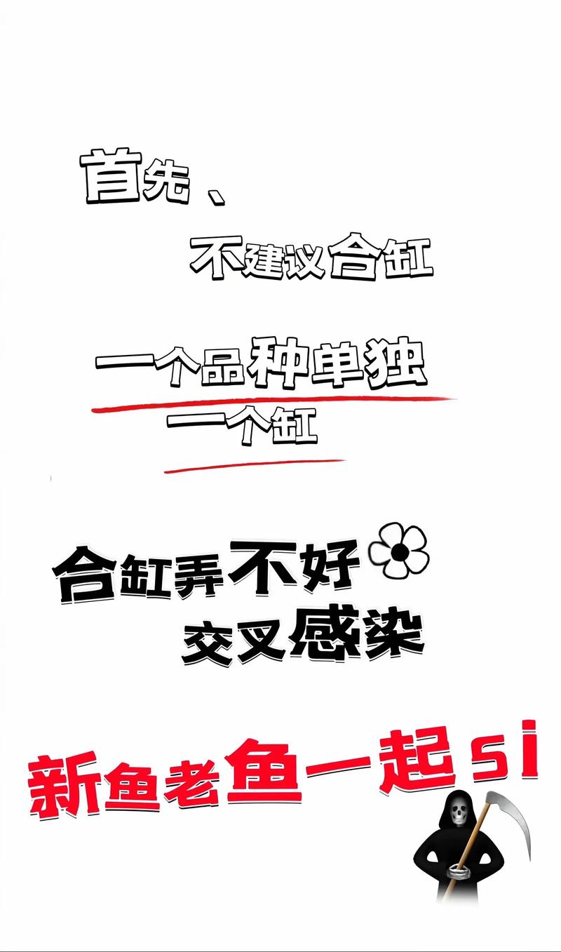 养孔雀嫩带来财运吗？孔雀养殖风水如何？