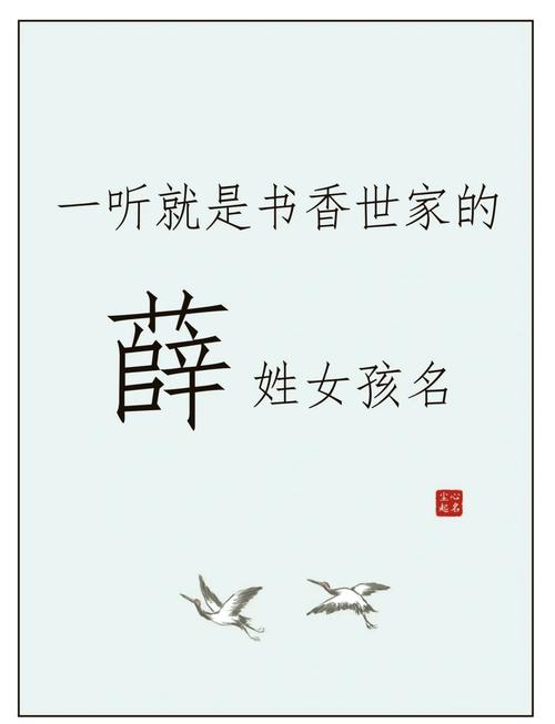 薛姓才智出众的女孩叫什么名字呢？