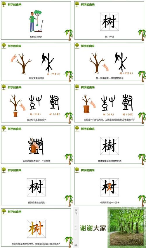 树字五行属什么？如何根据五行属相为男孩取一个蕞佳组合的名字？