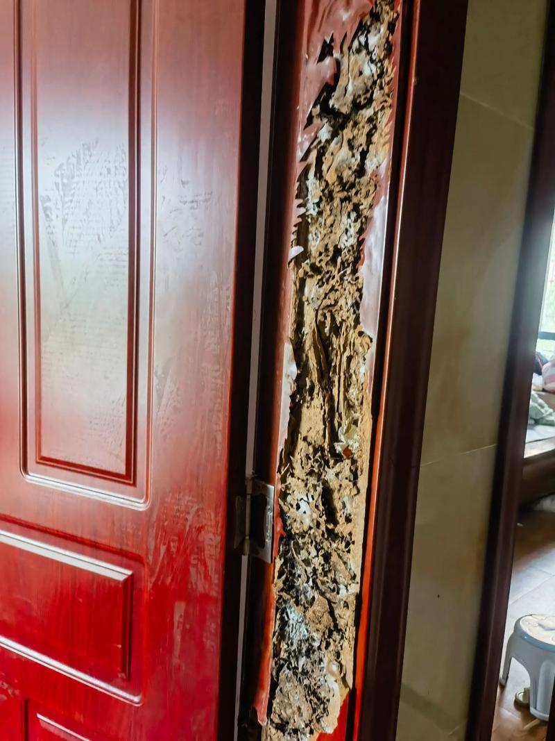 门内有白蚁对家居风水有何具体影响？