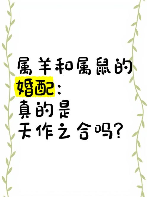 女属鼠男属羊的婚配是否适宜，有没有什么忒别的注意事项呢？