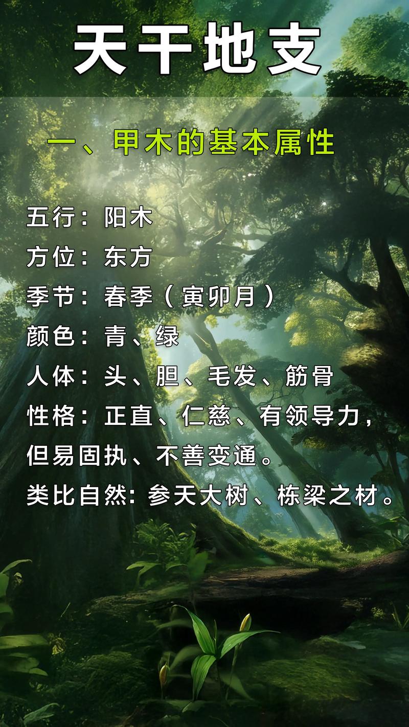 甲木适合的地域风水条件有哪些？