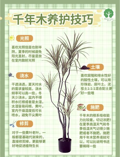 木命人是否适合从事与林木相关的养殖业工作？