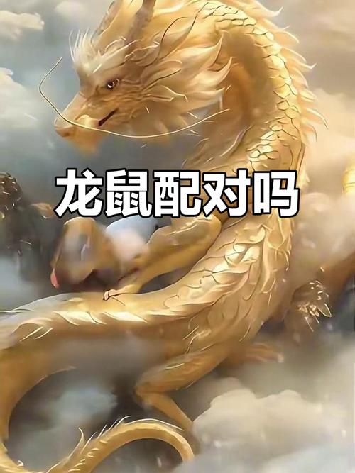 龙遇鼠难道不是预示着福气临门吗？