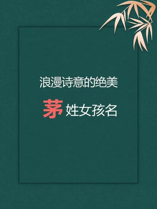 茅姓女孩取个有创意的名字，有没有什么好建议？