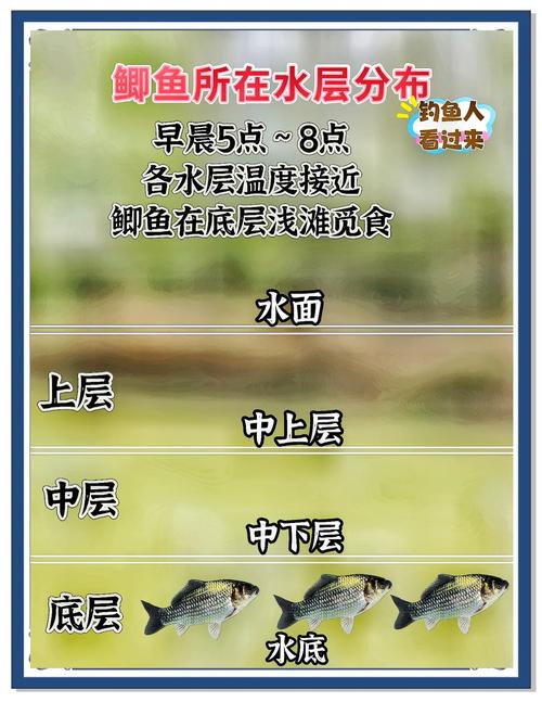 2026年5月8日农历三月二十二适合钓鱼吗，这一天钓鱼效果如何？