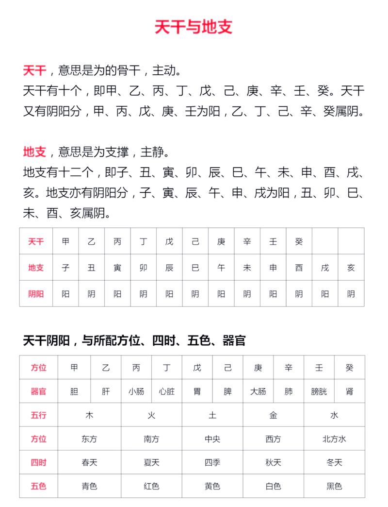如何区分八字论命中天干地支的运用和作用？