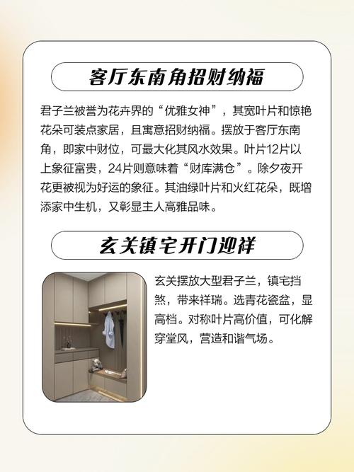 卧室摆放兰花风水有什么讲究？