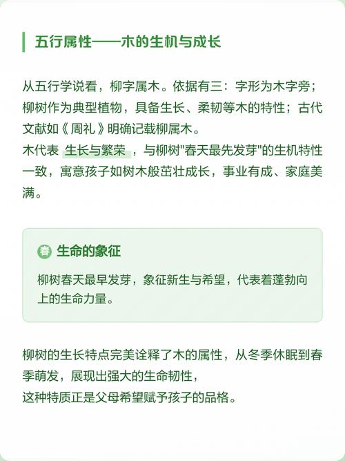 柳字五行属什么？男孩取名寓意有哪些？