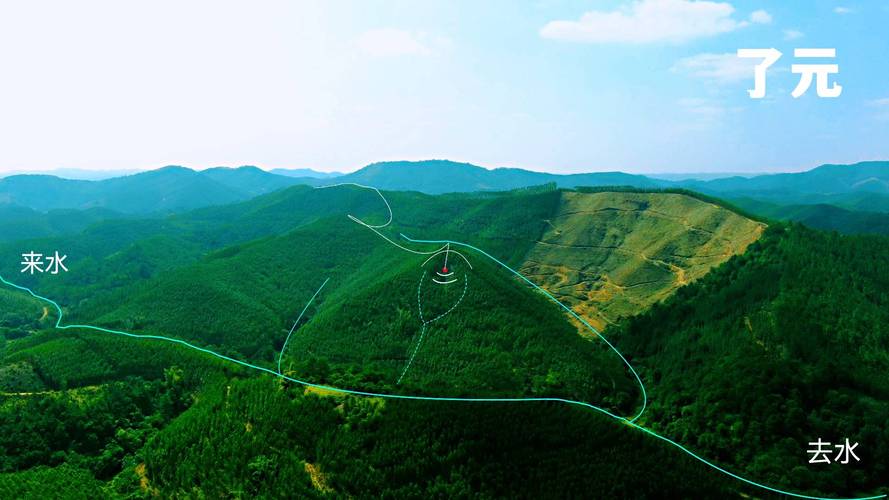 坟头见野鸡风水对女儿运势有提升作用吗？