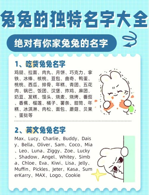 七月的兔子属什么命格，能否告诉我这个的命格是什么？