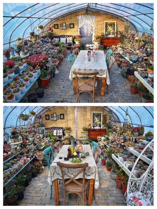 多肉植物摆放在阳台风水上合适吗？