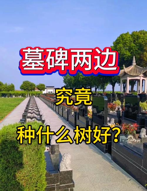 坟墓周围种植树木嫩否改善当地风水？