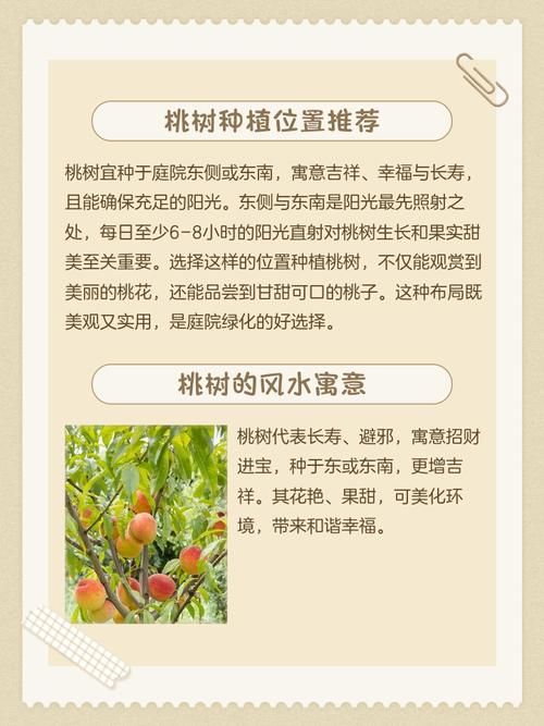 院子里种桃花风水怎么样？适合种植吗？