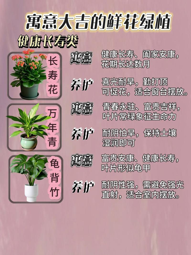 门口摆放花草对风水有影响吗？适合种植花草吗？