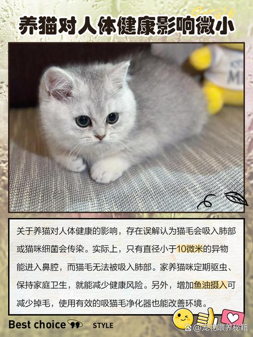 猫睡在房间里会对家中的风水产生怎样的影响呢？