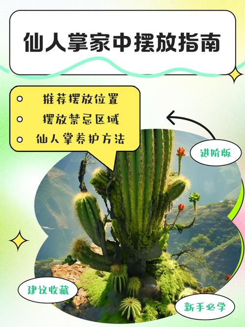 仙人掌摆放在家中能否起到阻挡不利风水的作用？