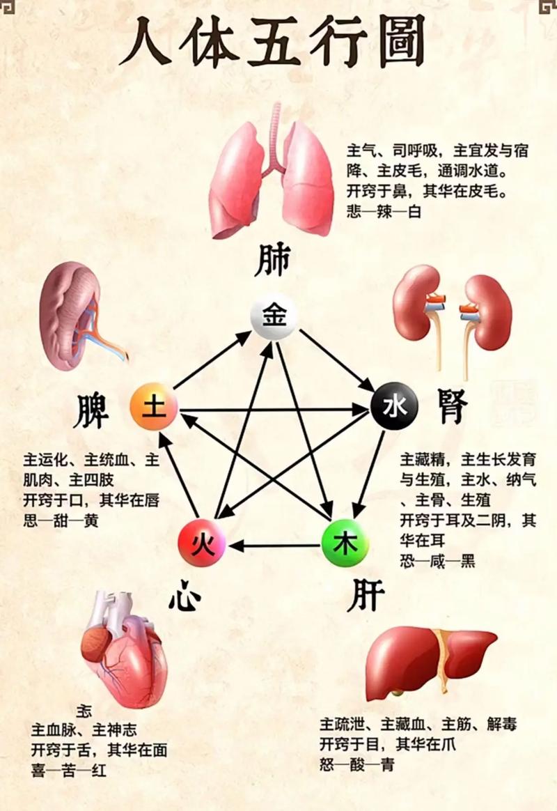 命里缺火的女人如何通过八字调整，才能补足火气，改善运势？