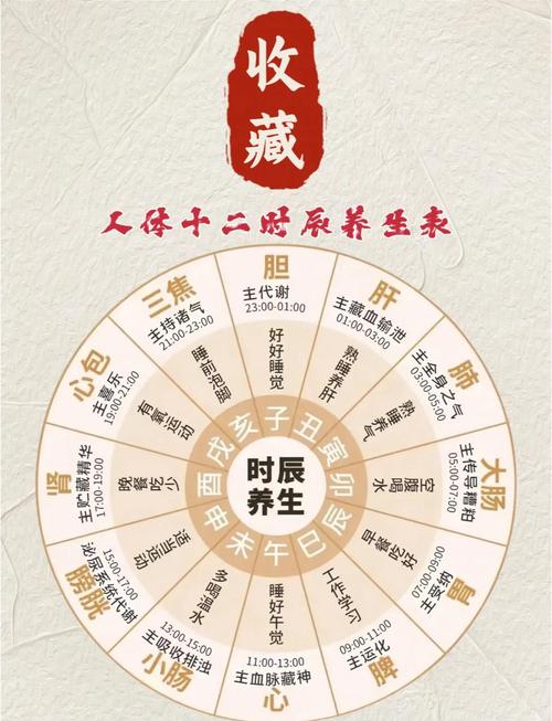 八字有土命的人如何调整饮食和作息来增强土气？