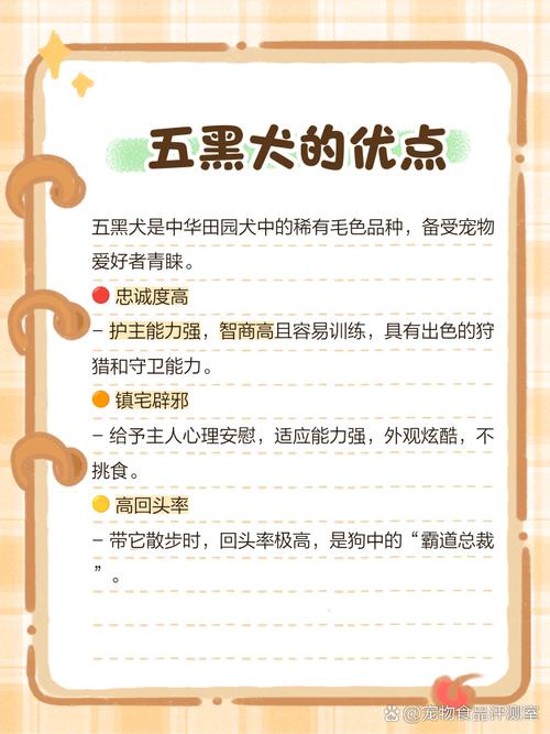 家里养黑狗真的会对风水产生不良影响吗？