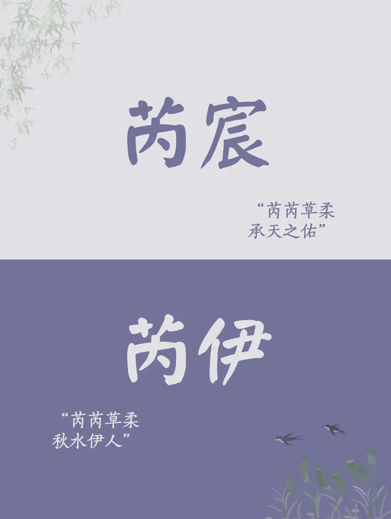 芮字取名寓意女孩，是否富含美好、纯洁和高雅的寓意？