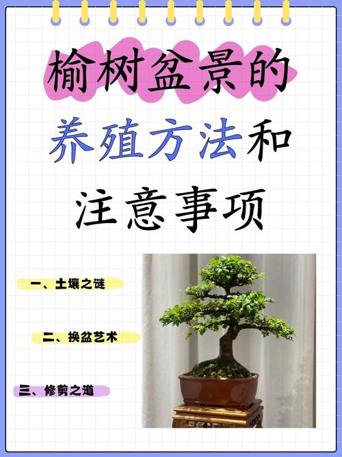 建房风水上，种榆树合适吗？有什么讲究？