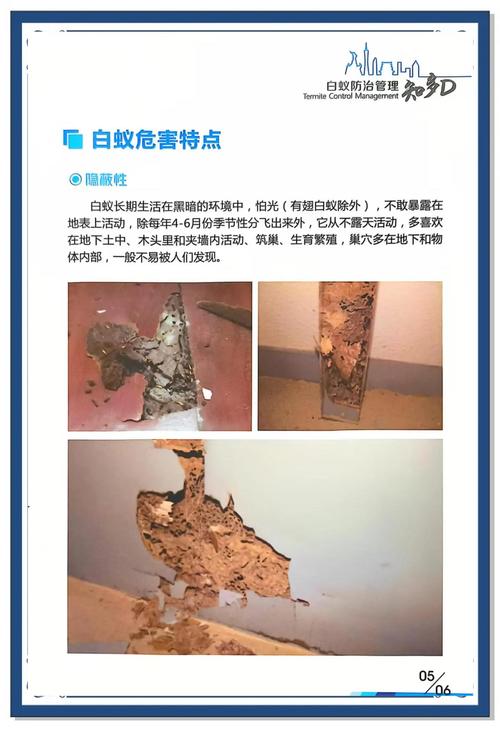 白蚁对风水的影响具体表现在哪些方面？