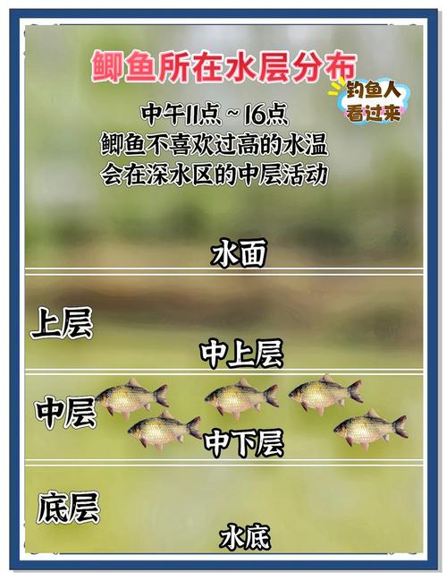 2026年5月8日农历三月二十二适合钓鱼吗，这一天钓鱼效果如何？