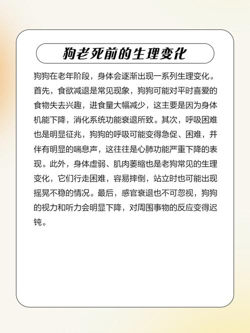 70年狗的一生中，有哪些灾难性事件曾令它痛苦不堪？