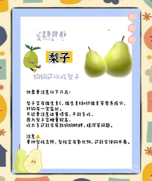 狗可依吃风水梨吗？这种梨对狗狗来说有毒吗？