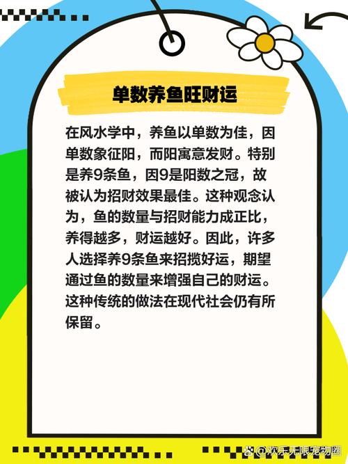 养鱼数量与风水有何关联，是否真的讲究其中的奥秘？