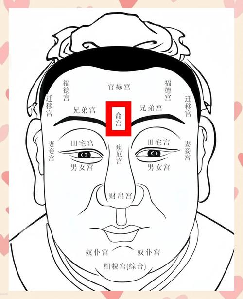 面相入门基础知识中，哪些面相特征预示着适合Zuo官的命运？