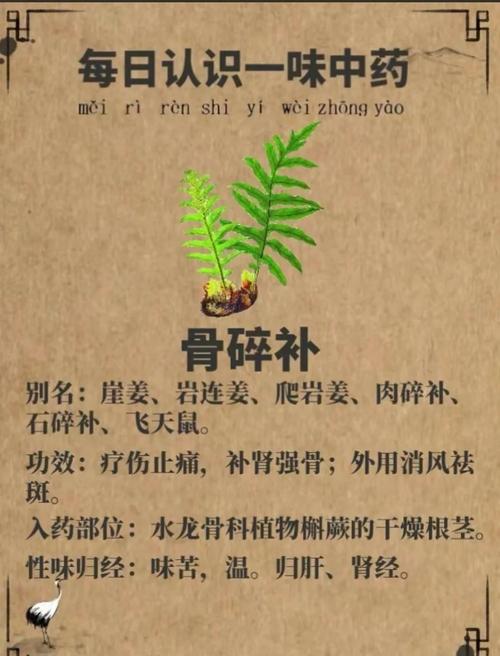 好风水真的能对骨头健康起到滋养作用吗？
