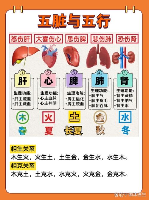 肺与五行之间究竟存在怎样的密切联系？
