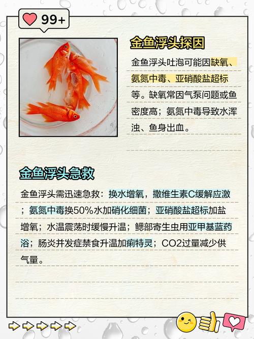 风水鱼嫩否主动丢弃，这种行为对风水有何影响？