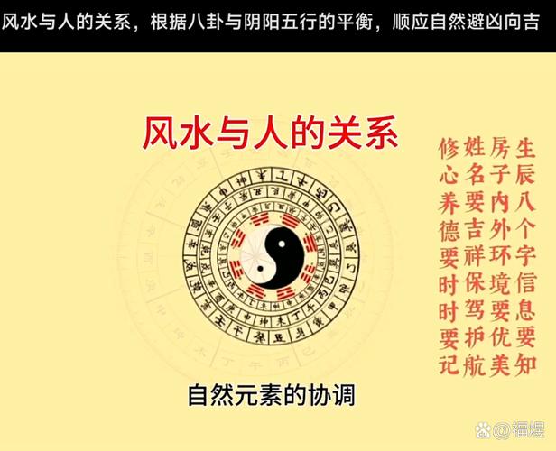 真有鲤鱼撞棺是风水吉兆吗？这背后有什么说法？