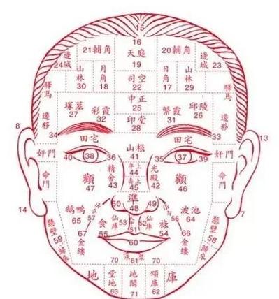 天庭饱满的小孩命运如何，这样的面相聪明吗？