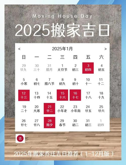 2025年12月24日这一天适合进行扫舍宇活动吗？