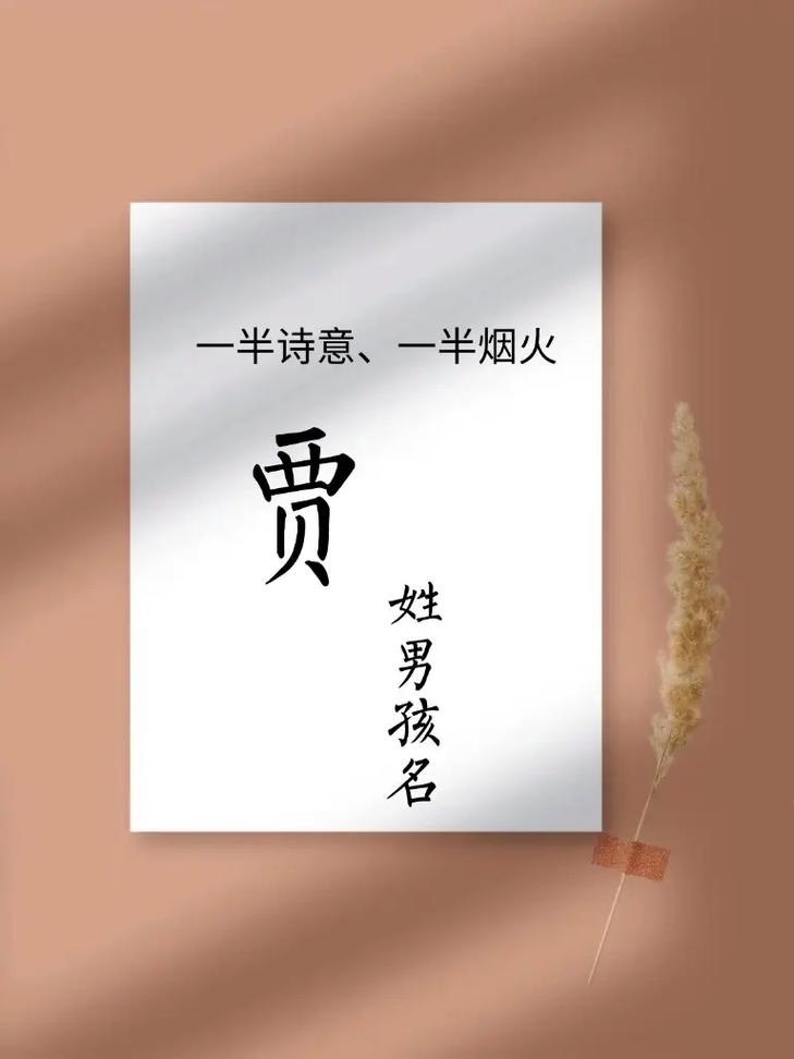 贾姓宝宝取名创意：贾浩然之才，如何为贾姓男宝宝取一个寓意非凡的名字？