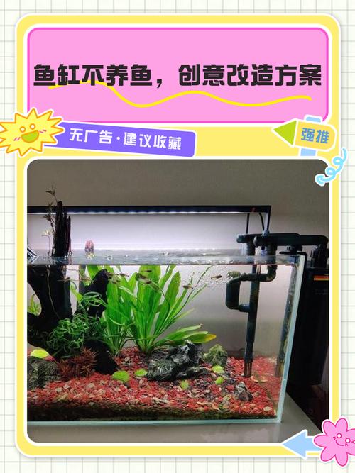 风水鱼缸不养鱼，只放花，这样布置可行吗？