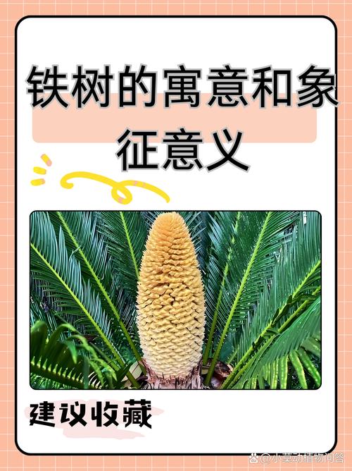 铁树种植在家中能起到辟邪和吉祥的风水作用吗？