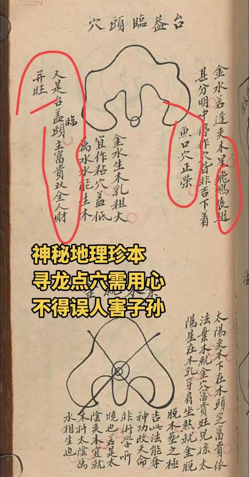 风水是否真的有效，有哪些科学依据或实际案例可以证明？