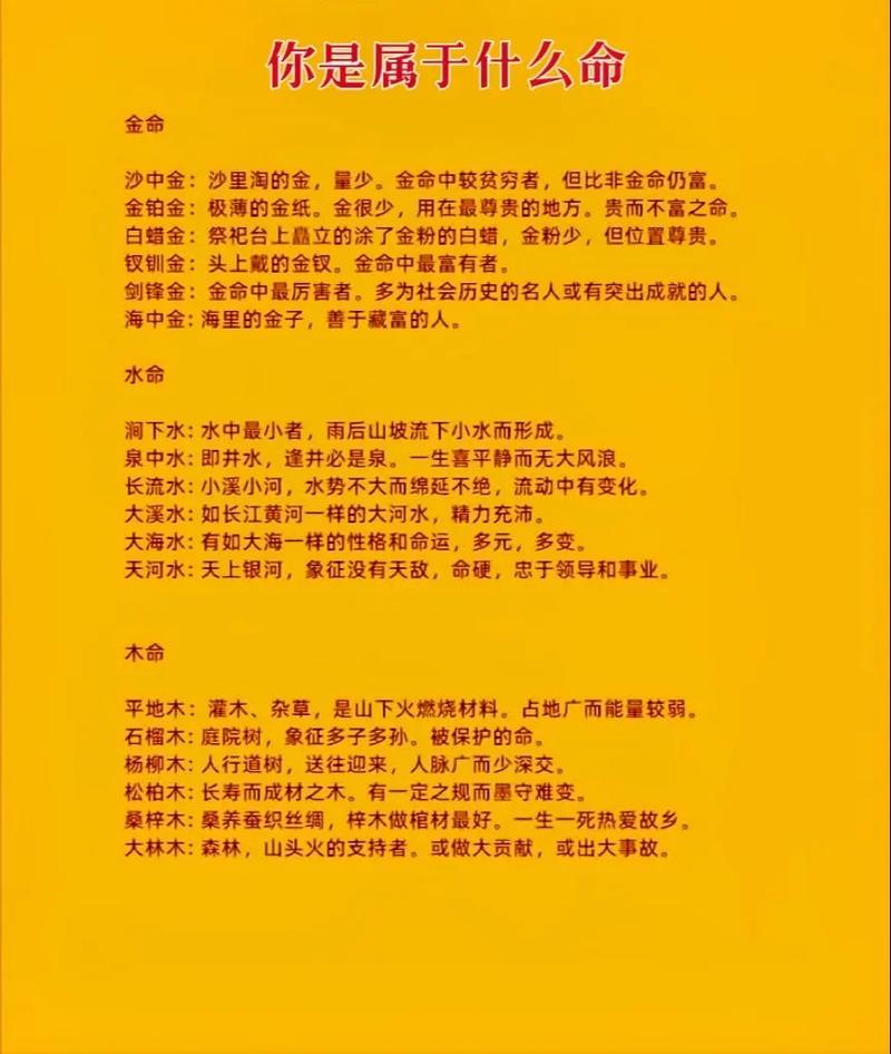 1982年出生的人是什么命格？