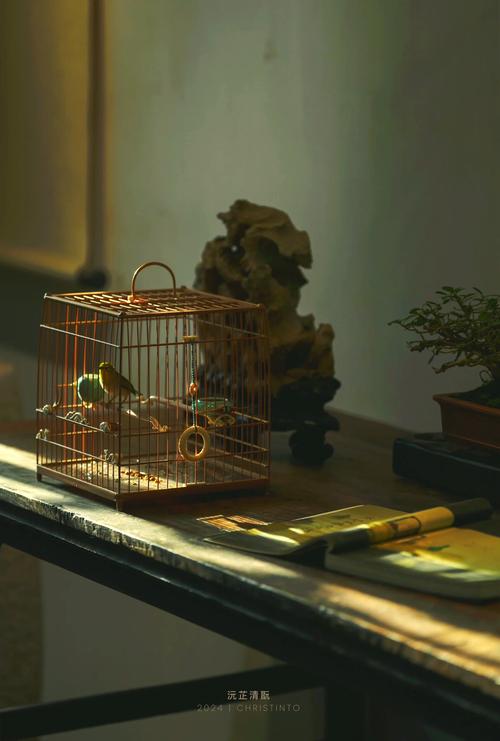家里摆放鸟笼会对风水产生怎样的影响呢？
