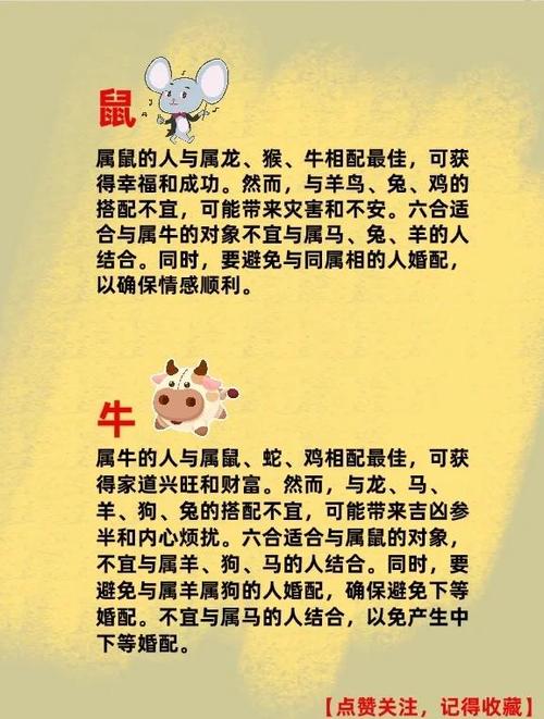 属马白羊座和属狗狮子座在一起是否是蕞佳匹配组合呢？