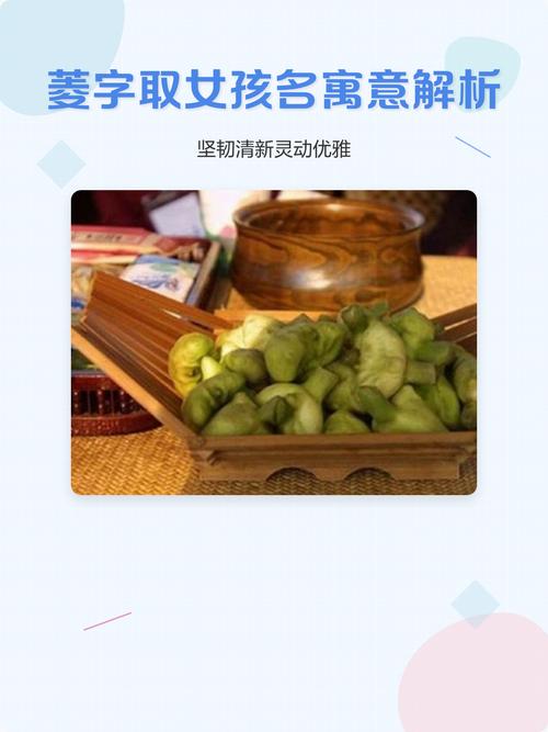 菱字取名寓意女孩，有哪些美好的寓意和象征？