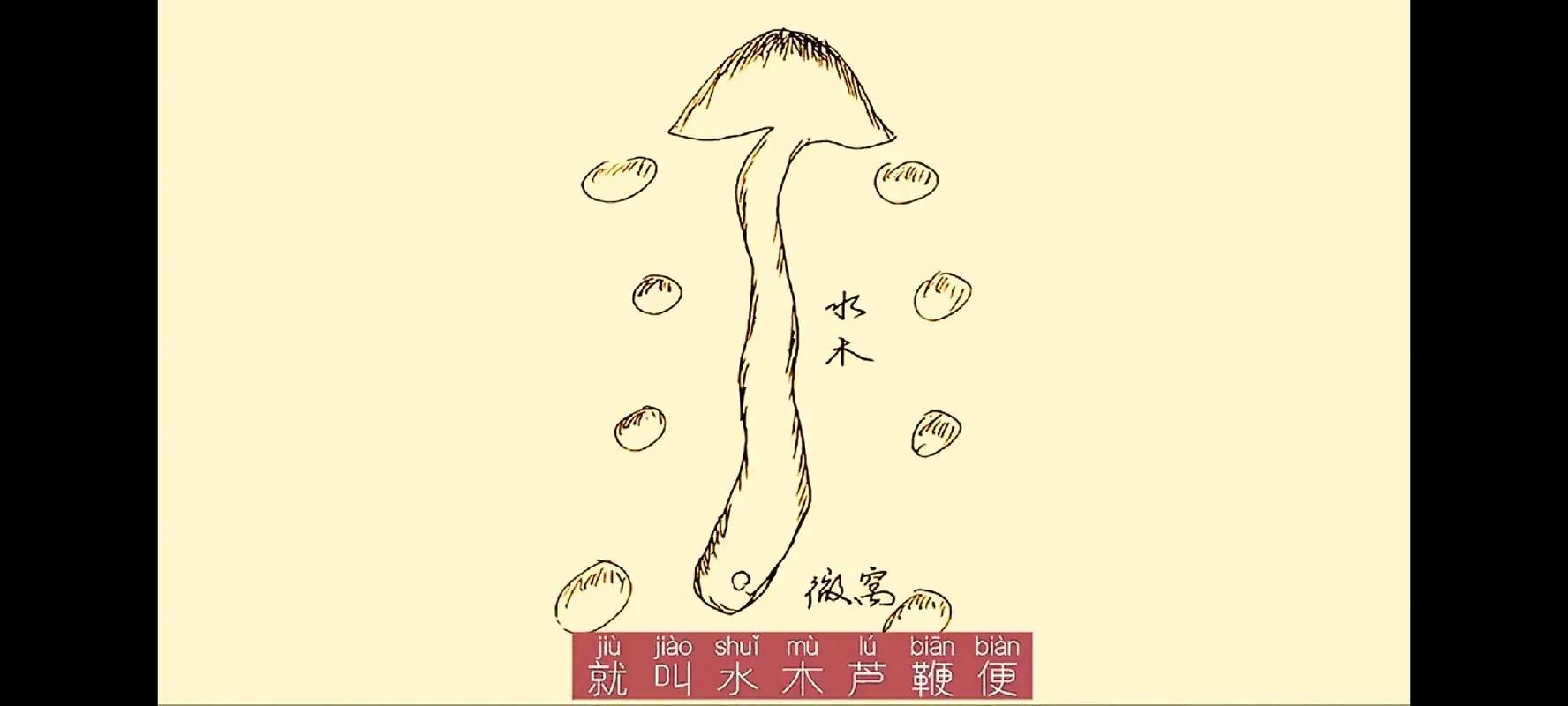 风水与木星之间是否存在某种关联性？