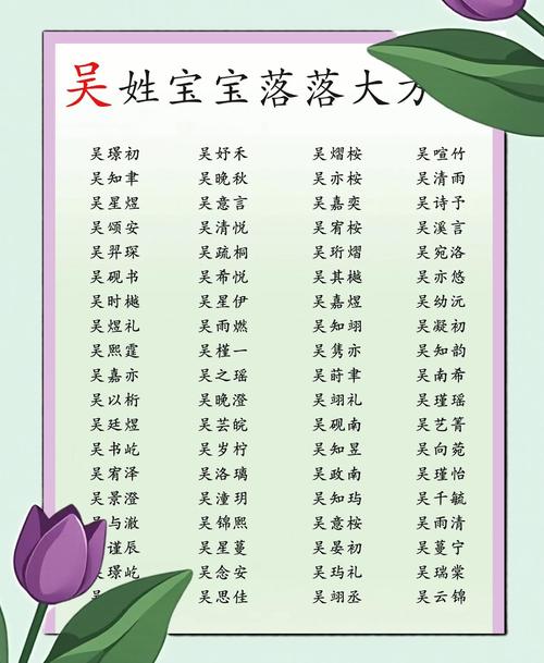 吴姓有涵养的女宝宝名字叫什么？有没有什么寓意美好的长名字推荐？